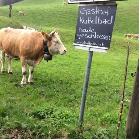 Hotel Gasthof Kuttelbad Wasen