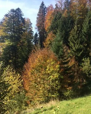Gasthof Kuttelbad *